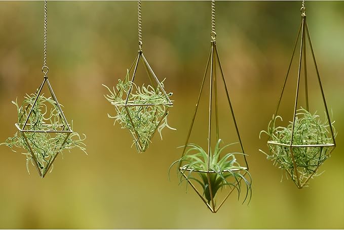 Air Plants Holders Hanging Airplants Hangers Himmeli Metal Wire 4Pcs Geometric Display Airfens Planter Frame 2 Sizes Tillandsia Holder with Chain and Hooks Decor for Home Office