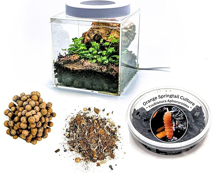 Generic Tiny Terrarium Kit for Springtails (4x4 inch) - BioActive Enclosure, Live Tropical Plants, LED Grow Light, Soil & Drainage, White
