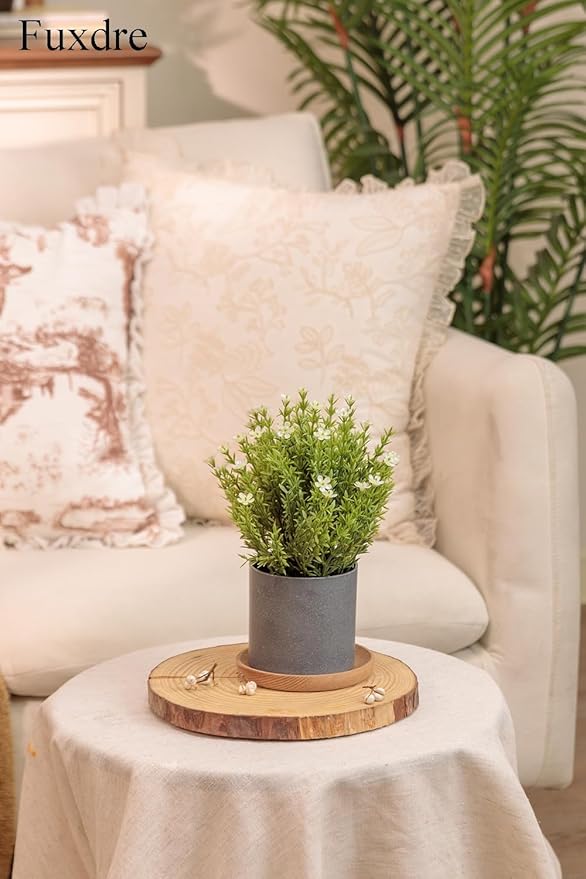 2 Pack Small Desk Plants, Artificial Bathroom Plants Decor with Thyme Flower in Vintage Melamine Pots, Faux Plants Indoor for Shelf Decor in Home Office, and Spring Decor (Ivory)
