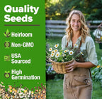 HOME GROWN Medicinal Herb Seeds Vault – 2,000+ Seeds, 6 Non GMO Heirloom Varieties for Indoor & Outdoor Garden – Lavender, Chamomile, Mint, Lemon Balm, Peppermint, Echinacea