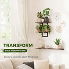 Bamworld Wall Planters for Indoor Plants Window Plant Shelves Vertical Plant Holder Wall Decor Plant Stand Indoor Floating Shelves for Plant Hangers for Living Room Bedroom Bathroom