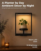Bamworld Hanging Planters for Indoor Plants Wall Decor Outdoor Living Room Plant Stand Indoor Wall Planters Plant Hanger Window Plant Shelves 3-Packs with Magnetic Lights