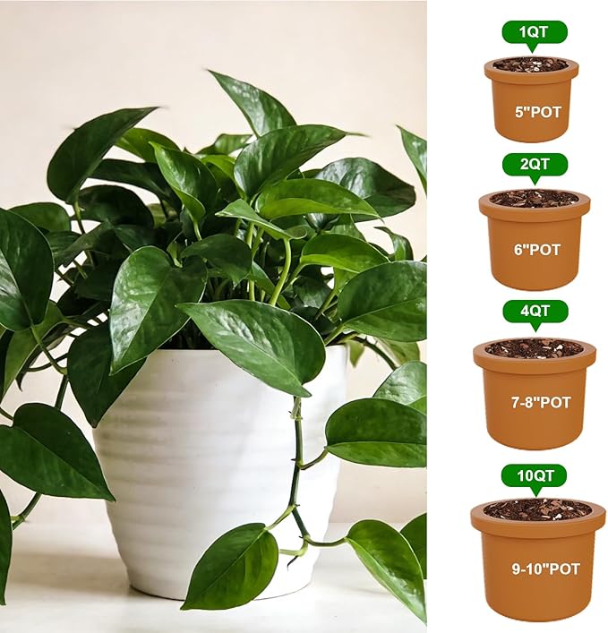 Pothos Potting Soil - Pure Natural Organic Soil 4qt, Well-Draining and Aerated for Healthy Indoor Plants