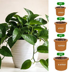 Pothos Potting Soil -Pure Natural Organic Soil 2qt, Well-Draining and Aerated for Healthy Indoor Plants