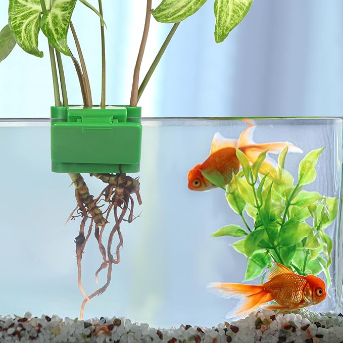 3 Holes Upgraded Aquatic Plant Cup Aquarium Plant Holder for Tank,Aquascape Accessories Decorations- Green 2 Pcs