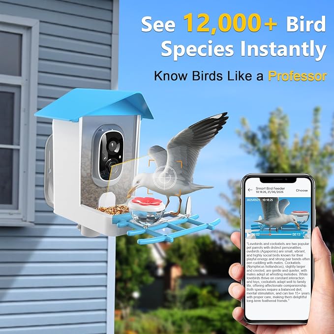 Solar Powered Bird Feeder with Camera: One Full Charge Lasts for Weeks with 6W High Conversion Rate Solar Panel - Continuously Record Over 600 30-S 2K Videos on Backyard/Garden