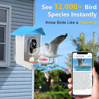 Solar Powered Bird Feeder with Camera: One Full Charge Lasts for Weeks with 6W High Conversion Rate Solar Panel - Continuously Record Over 600 30-S 2K Videos on Backyard/Garden