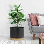 Large Plant Pots Set of 3 – 8", 9", 10" Indoor Flower Pots with Drainage Holes and Saucers, Big Planters for Monstera, Fiddle Leaf Fig, Snake Plant – 5 Colors