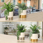 Hollyone Large Artificial Succulents Plants Faux Succulents 12" Fake Succulent Plants in Sliver Ceramic Pot Succulent Plant for Desk Modern Home Living Room Office Table Shelf Decor