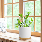 WSMKSZ 8 Inch Cylinder Flower Pots for Indoor Outdoor Plants, Medium Deep Plant Pots with Drainage Holes & Saucer, Decorative Plastic Planter Pots for Garden House Plants, White with Brown
