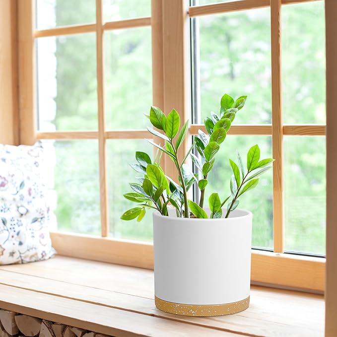 WSMKSZ 8 Inch Cylinder Flower Pots for Indoor Outdoor Plants, Medium Deep Plant Pots with Drainage Holes & Saucer, Decorative Plastic Planter Pots for Garden House Plants, White with Brown