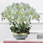 FagusHome 32 Inch Artificial Phalaenopsis Flowers 6 Pcs Artificial Orchid Flowers Stem Plants for Home Décor (Light Green), FH1000143