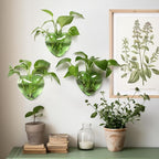 Wall Hanging Planter Propagation Station for Indoor Plants Glass Vase Air Plant Holder Gift for Women Girlfriend Plant Lover