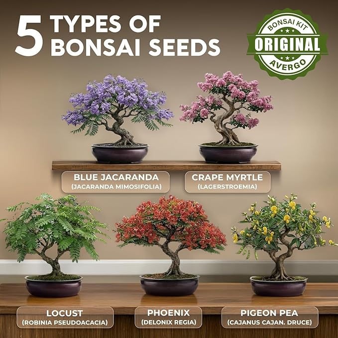 AVERGO Bonsai Tree Kit Classic - 5X Unique Japanese Bonzai Trees | Complete Indoor Bonsai Starter Kits for Growing Trees – DIY Gardening Gifts for Mother, Women & Men