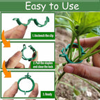 Plant Support Clips - Tomato Clips for String Trellis, 100pcs Grape Vine Clips for Garden Netting Climbing Plants, Secured Plastic Plant Clip for Fixing Stem and Vine (100, Green)