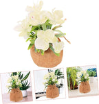 Zerodeko Realistic Faux Phalaenopsis Orchid with Pot Simulation Potted Flower for Living Office Bedroom Decor Creative Artificial Bonsai Home and Festival