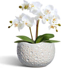 Ceramic Plant Pots 6 Inch - Ceramic Orchid Pot with Drainage Hole and Plug, Unique Pots for Plants Indoor Outdoor, Decorative Modern Planter, Living Room Decor, Plant Lovers Gifts, Grey