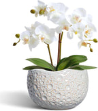 Ceramic Plant Pots 6 Inch - Ceramic Orchid Pot with Drainage Hole and Plug, Unique Pots for Plants Indoor Outdoor, Decorative Modern Planter, Living Room Decor, Plant Lovers Gifts, Grey