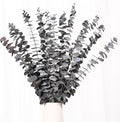 Tavkite 16 Pcs Dried Eucalyptus Stems, 17'' Natural Eucalyptus Leaves Branches Hanging for Shower, Preserved Real Black Plant Live Greenery for Home SPA Wall Bathroom Wedding Party Vase Decor