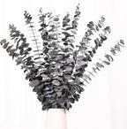 Tavkite 16 Pcs Dried Eucalyptus Stems, 17'' Natural Eucalyptus Leaves Branches Hanging for Shower, Preserved Real Black Plant Live Greenery for Home SPA Wall Bathroom Wedding Party Vase Decor