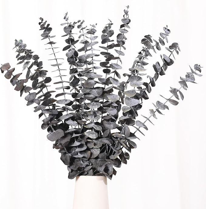 Tavkite 16 Pcs Dried Eucalyptus Stems, 17'' Natural Eucalyptus Leaves Branches Hanging for Shower, Preserved Real Black Plant Live Greenery for Home SPA Wall Bathroom Wedding Party Vase Decor