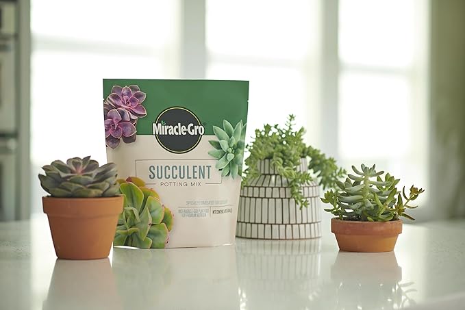 Miracle-Gro Succulent Potting Mix - Potting Soil Mix for Indoor Succulents, Aloe Vera and More, Made with Miracle-Gro Plant Food, 4 qt. (3-Pack)