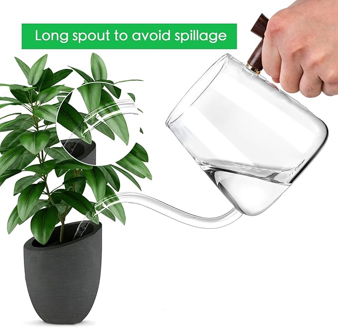Watering Can Indoor Plants, 27 OZ Glass Watering Can, Long Curved Spout, Suitable for Indoor Plants, Bonsai Garden Flower Decoration