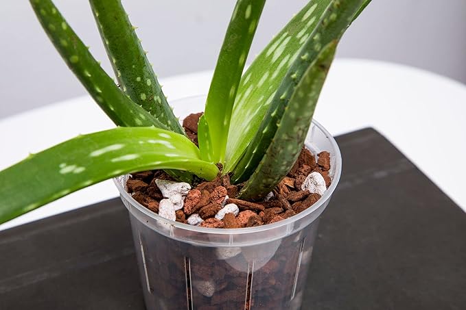 rePotme Orchid Pot Growers Assortment (4 Slotted Clear Orchid Pots - 1 Each of 3, 4, 5, 6 Inch) - Premium Orchid Planters, Orchid Pots with Holes for Repotting
