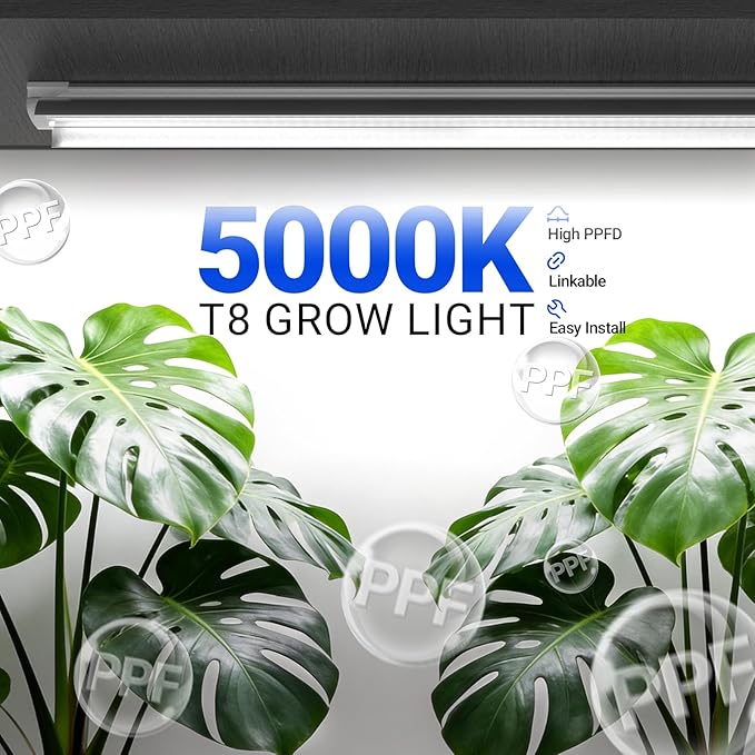 Barrina Grow Lights for Indoor Plants, 3FT 5000K Daylight White Full Spectrum Plant Lights, 180W(6 x 30W, 1000W Equivalent), T8 Grow Light Bulbs, LED Grow Light Strips, Linkable Design, 6-Pack