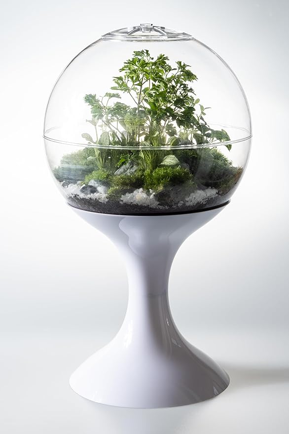 Atomic Space Age Terrarium (White)