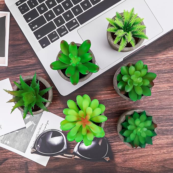 Succulents Plants Artificial Set of 6 Small Realistic Fake Succulent Plant in Pots Realistic Faux Greenery Plants Potted for Home Office Desk Indoor Bedroom Living Room Decoration