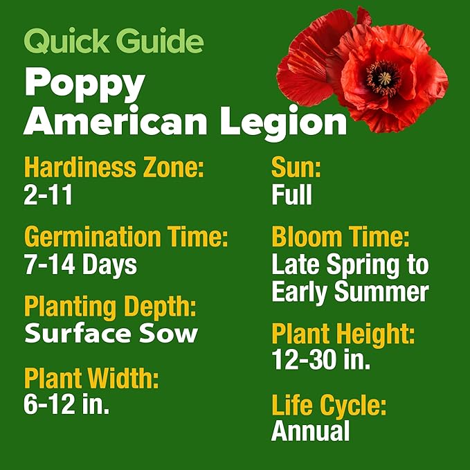 HOME GROWN American Legion Red Poppy Seeds - 6,000 Vibrant Wildflower Seeds for Planting Outdoors - Annual Poppy Flowers - Memorial Garden & Pollinator Friendly (Papaver rhoeas)