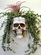 Resin Air Plant Holders,Tilandsia Container,Gothic Skeleton Planter,Halloween Plant Pot,Tillandsia Pot, Skull Table Top Display Planters for Air Plants and Other Mini Plants (White No.2, 7*5*3.2'')