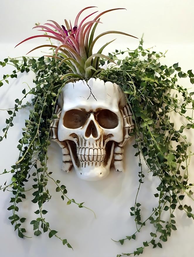 Resin Air Plant Holders,Tilandsia Container,Gothic Skeleton Planter,Halloween Plant Pot,Tillandsia Pot, Skull Table Top Display Planters for Air Plants and Other Mini Plants (White No.2, 7*5*3.2'')