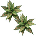 PASYOU Artificial Aglaonema Plants, Green and Pink Variegated 2 Pack, Fake Magnolia Plant Faux Plastic Leaves Shrubs, UV Resistant Greenery, Indoor Outdoor Decor Home Garden Table Decorations – Red