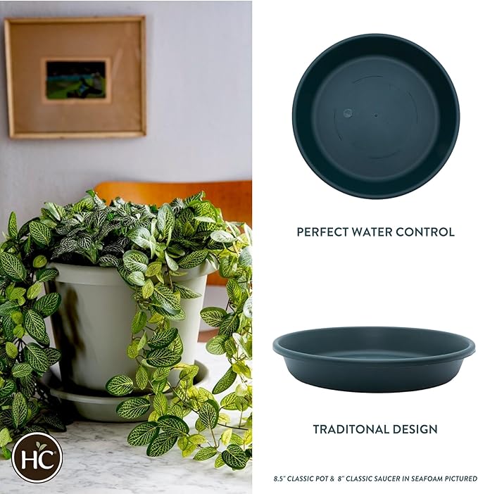 The HC Companies Flower Pot Saucers - Plastic Plant Saucer for Outdoors & Indoors - Traditional Design Plant Pot Trays for Water Drainage - Durable & Stylish Round Plant Tray (10-inch Evergreen)