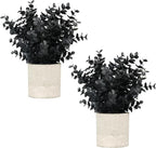 Velener 2 PCS Small Fake Eucalyptus Plant Artificial Potted Plants Indoor for Christmas Decor Indoor Realistic Faux Plant for Office, Bathroom, Living Room, Desk, Shelf, Home Decor (Black)