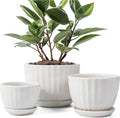 STHIE Ceramic Plant Pots with Drainage Holes and Saucers, Round White Flower Pots for Indoor Plant, Diameter 3.3/4.3/5.5 Inches Small Flower Planters Set of 3
