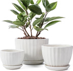 STHIE Ceramic Plant Pots with Drainage Holes and Saucers, Round White Flower Pots for Indoor Plant, Diameter 3.3/4.3/5.5 Inches Small Flower Planters Set of 3