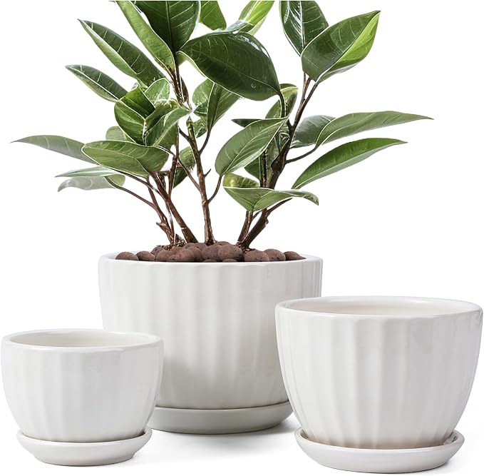 STHIE Ceramic Plant Pots with Drainage Holes and Saucers, Round White Flower Pots for Indoor Plant, Diameter 3.3/4.3/5.5 Inches Small Flower Planters Set of 3
