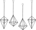 ZOOELAY Hanging Air Plants Holders Black Airplants Plant Hanger Metal Geometric Inoor Planter Holder Air Ferns Display Rack with Chain 4Pcs …