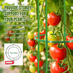 Joyhalo 2 Pack 65 Inch Tomato Cages for Garden, Upgraded Larger Size Heavy Duty Tomato Cage, Height Adjustable Tomatoes Trellis for Climbing Plants Vegetables Flowers Cucumber Peony