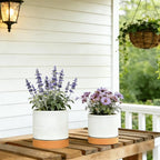 GreenShip Planter Set of 2 (10.3'' & 8.3'') – Dual-Use Self-Watering or Traditional Indoor Cylinder Flower Pots with Saucers & Side Drainage – Durable Lightweight Clay & Resin Blend (W/T)
