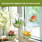3/8 Inch Polished Decorative Pebbles, River Rocks for Indoor Plants, Succulents, Planters, Vases, Fish Tank, Aquarium Gravel & Landscaping, Jade Green, 6L