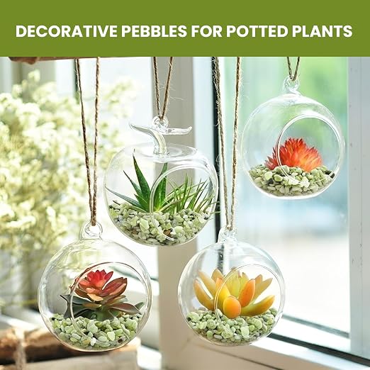 3/8 Inch Polished Decorative Pebbles, River Rocks for Indoor Plants, Succulents, Planters, Vases, Fish Tank, Aquarium Gravel & Landscaping, Jade Green, 12LB