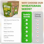 Todd's Seeds Wheatgrass Seeds; Hard Red Winter Wheat, Non-GMO, Chemical Free, High Germination (One Pound)