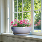 SQOWL 12 Inch Bonsai Pots - Shallow Ceramic Planter for Indoor Plants Outdoor, Large Succulent Pots with Drainage Hole and Saucer, Round Planter Bowl, Porch Decor, Gifts for Plant Lover, Blue