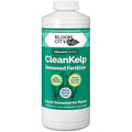 Bloom City Seaweed and Kelp Fertilizer – Liquid Seaweed Supplement for Stronger Roots, Faster Growth & Improved Stress Tolerance, 32 oz