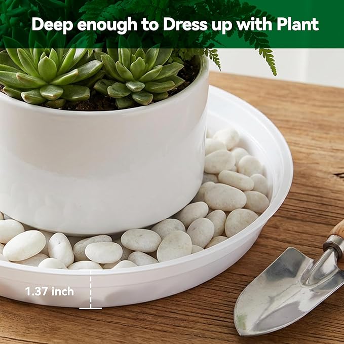 TRUEDAYS 20 Pack White Plant Saucers – 4 Sizes (6"/8"/10"/12") Plastic Flower Pot Trays for Indoor & Outdoor Plants, Drip Trays to Protect Floors & Surfaces