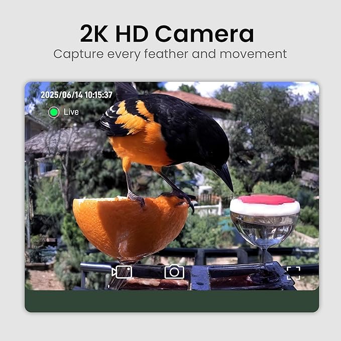 Smart Bird Feeder with Camera Solar Powered 2K HD Video, 10,000+ Species AI Recognition, Real-Time App Alerts, and Weatherproof Design for Effortless Birdwatching, Gift for Father's Day, Green Brown